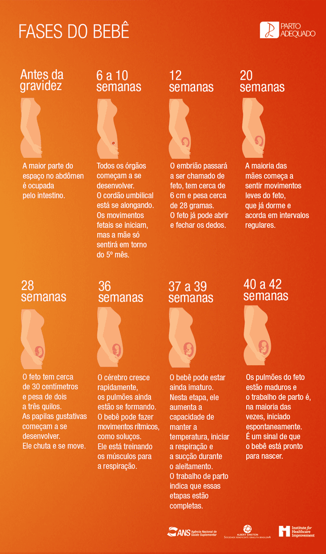 ARTE 1